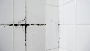 jak zabezpieczyć fugi pod prysznicem